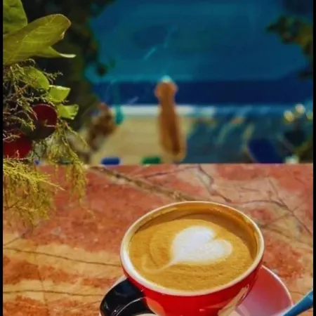 Diana Seaside Apartment Olimp