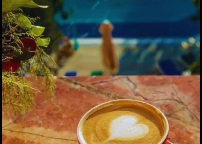 Diana Seaside Apartamento Olimp